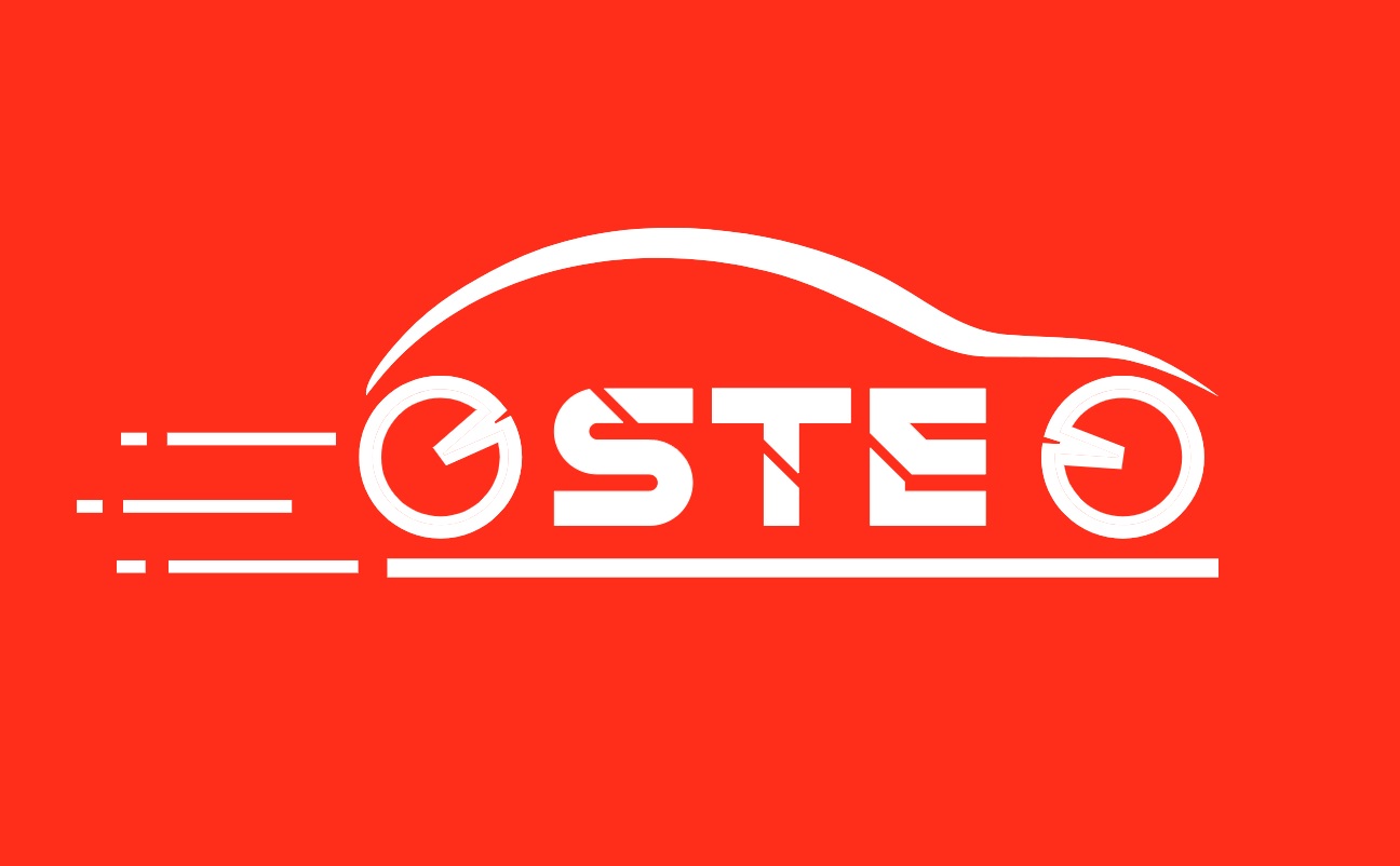 STE Logo